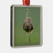 Ostrich Metalen Ornament (Rechts)