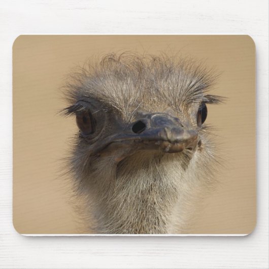Ostrich Muismat (Voorkant)