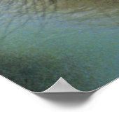 Ostrich of Emu met "problemen"! Poster (Hoek)