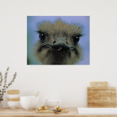 Ostrich of Emu met "problemen"! Poster (Keuken)