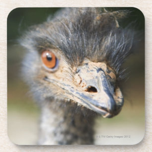 Ostrich Onderzetter