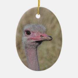 Ostrich Ornament