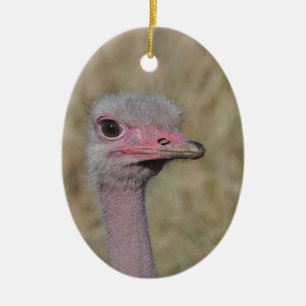 Ostrich Ornament