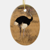 Ostrich Ornament (Achterkant)
