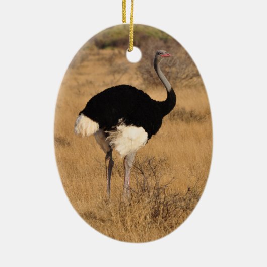 Ostrich Ornament (Achterkant)