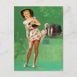 Ostrich Pin Up Briefkaart