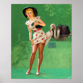 Ostrich Pin Up Poster
