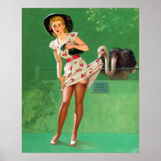 Ostrich Pin Up Poster (Voorkant)