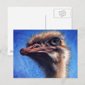 Ostrich Post Card Briefkaart (Voorkant / Achterkant)