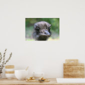 Ostrich Poster (Keuken)