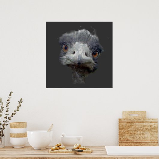 Ostrich Poster (Keuken)