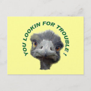 Ostrich-probleem Briefkaart