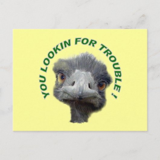 Ostrich-probleem Briefkaart (Voorkant)