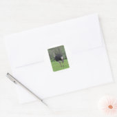 Ostrich Ronde Sticker (Envelop)