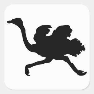 Ostrich Silhouette Vierkante Sticker