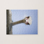 Ostrich Speak Legpuzzel (Horizontaal)