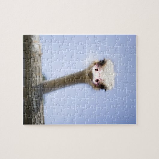 Ostrich Speak Legpuzzel (Horizontaal)