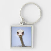 Ostrich Speak Sleutelhanger (Voorkant)