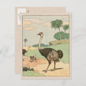 Ostrich Storybook Tekening Briefkaart (Voorkant / Achterkant)