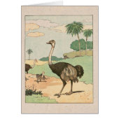 Ostrich Storykook Illustrated Note Card (Voorkant)