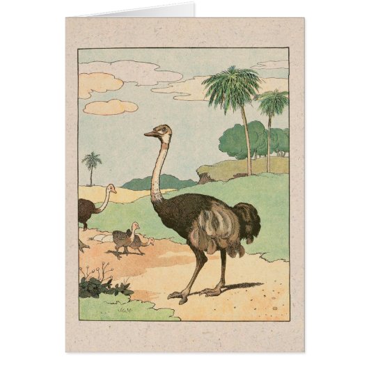 Ostrich Storykook Illustrated Note Card (Voorkant)