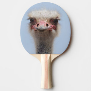 Ostrich Tafeltennisbatje