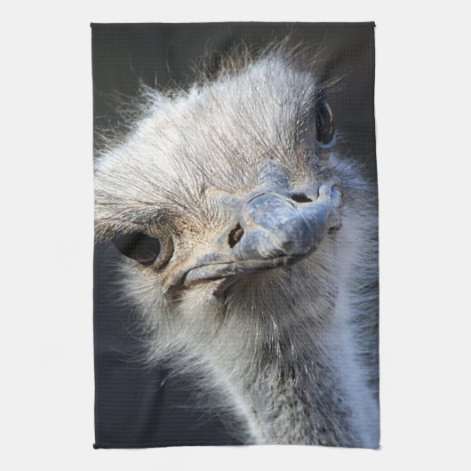 Ostrich Theedoek (Verticaal)