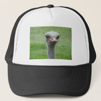Ostrich Trucker Pet