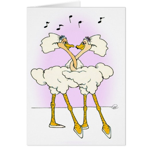 Ostrich Wedding (Voorkant)