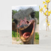Ostrich What's Up Card Kaart (Gele Bloem)