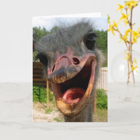 Ostrich What's Up Card Kaart (Gele Bloem)