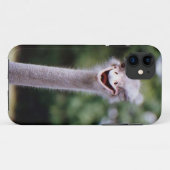 Ostrich Winking - Funny Case-Mate iPhone Case (Achterkant (horizontaal))