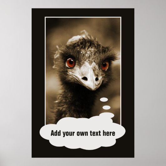 Ostriches Aangepast poster zoeken (Voorkant)