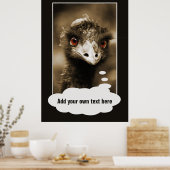 Ostriches Aangepast poster zoeken (Keuken)