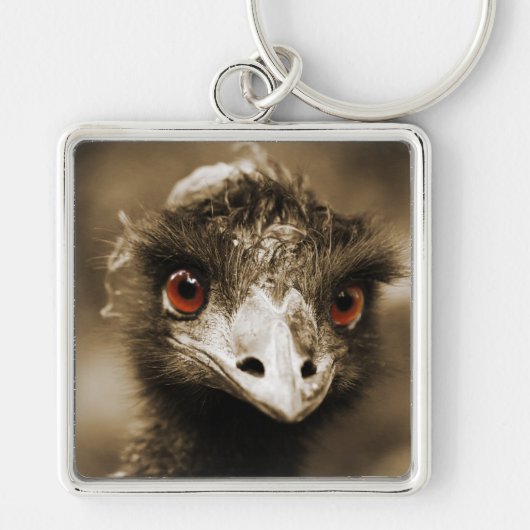 Ostriches Bekijk de sleutelketen Sleutelhanger (Voorkant)
