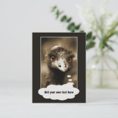 Ostriches briefkaart aangepaste tekst bekijken (Staand voorkant)