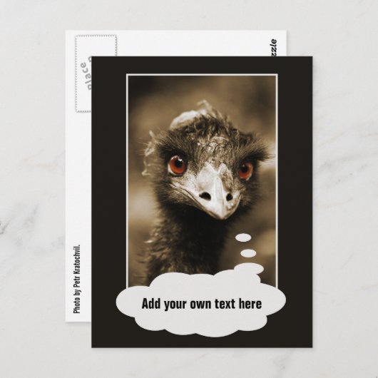 Ostriches briefkaart aangepaste tekst bekijken (Voorkant / Achterkant)