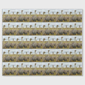 Ostriches Cadeaupapier (Vlak)