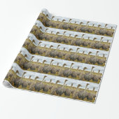 Ostriches Cadeaupapier (Uitgerold)