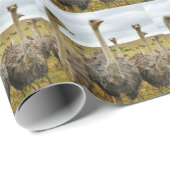 Ostriches Cadeaupapier (Rol Hoek)