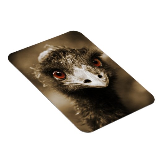 Ostriches Kijk magneet (Rechterzijde)