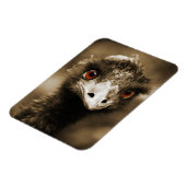 Ostriches Kijk magneet (Linkerzijde)