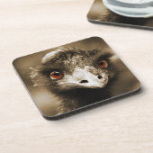 Ostriches Kijk onderzetters (Linkerzijde)