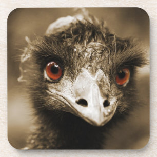 Ostriches Kijk onderzetters