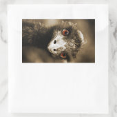 Ostriches Kijk stickers (Tas)