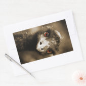 Ostriches Kijk stickers (Envelop)