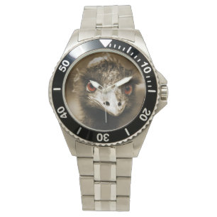 Ostriches Let op horloges