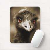 Ostriches Let op mousepad Muismat (Met muis)