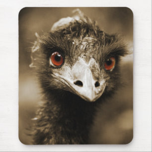 Ostriches Let op mousepad Muismat