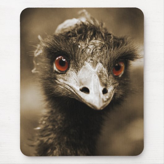 Ostriches Let op mousepad Muismat (Voorkant)